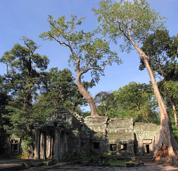 Templo Prohm Angkor Camboya — Foto de Stock