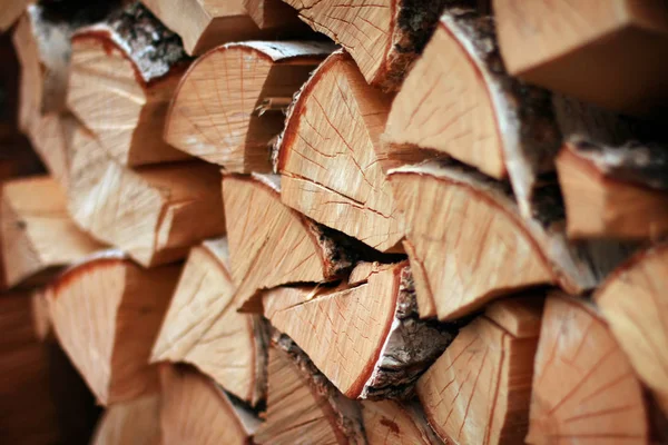 Pile of firewood — Stock Photo, Image