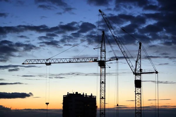 Silhouette d'une grue à tour — Photo