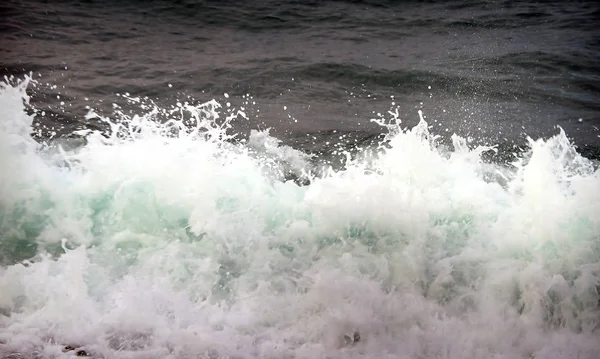 Strand vid Svarta havet — Stockfoto