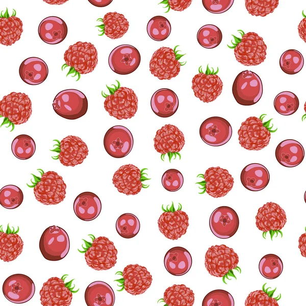 Framboos en cranberry op een witte achtergrond — Stockvector