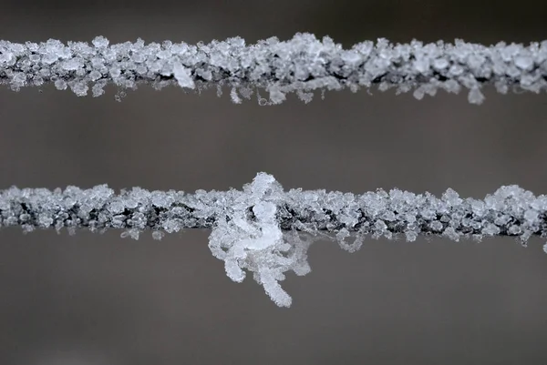 Hoarfrost Sulle Corde Inverno Primo Piano Profondità Campo Ridotta — Foto Stock