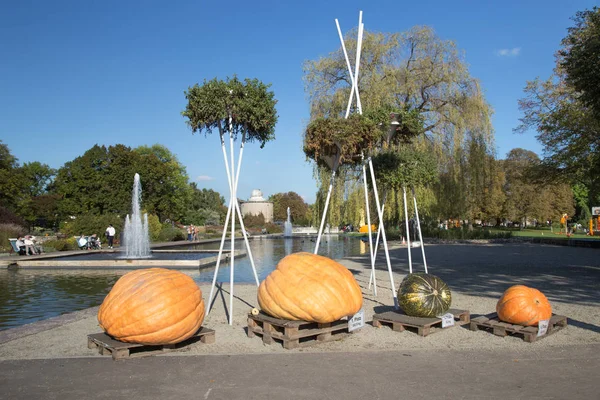 Monsters van gigantische pompoenen — Stockfoto