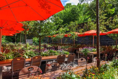 bir yaz kafede çiçekler