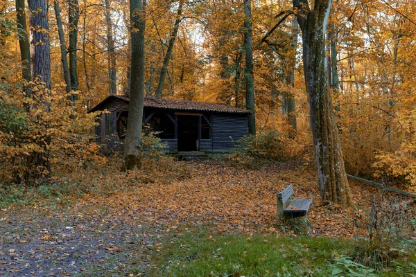 Opuszczonej chacie w lesie jesienią — Zdjęcie stockowe