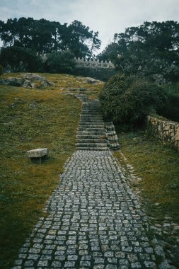 Taş yol ve merdiven Baiona, Galicia İspanya