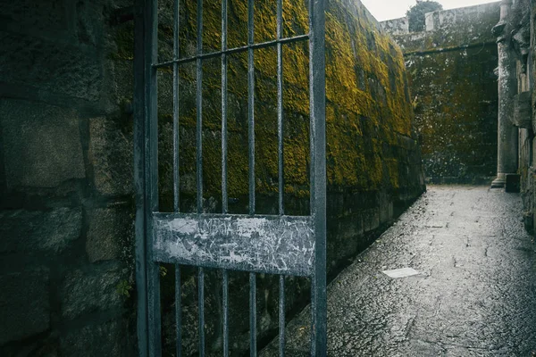Двері і стіна зі старим мохом в Байоні — стокове фото