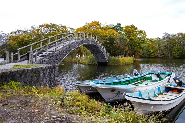 Sonbaharda lakeside, renkli orman manzara.
