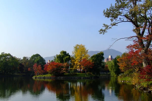 Sonbaharda lakeside, renkli orman manzara.