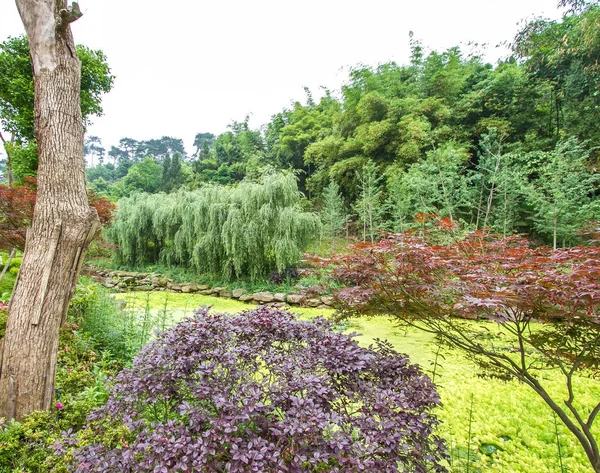 Der Chinesische Gartenstil Bäume Und Ein Teich — Stockfoto