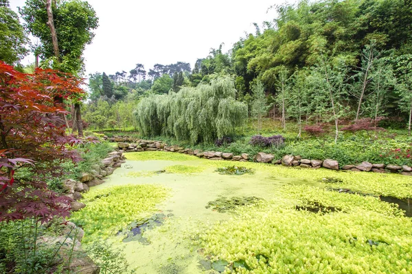 Bahçe, ağaçlar ve bir su birikintisi oluşan Çin stili.