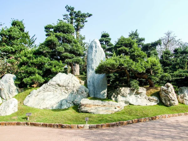 Rocks Trees Chinese Garden — Stock Photo, Image