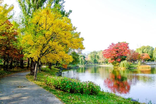 Renkli yaprakları ve lakeside Güz mavi gökyüzü ve beyaz bulutlar, ağaçlar.