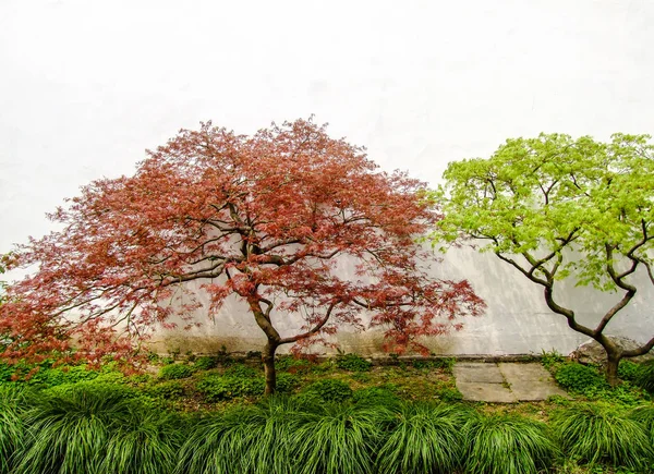 Sonbahar renkli yapraklarda.