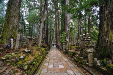 Okunoin Mezarlığı - Koya Dağı