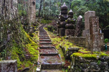 Okunoin Mezarlığı - Koya Dağı