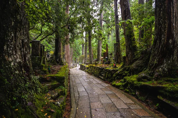 Okunoin Mezarlığı - Koya Dağı