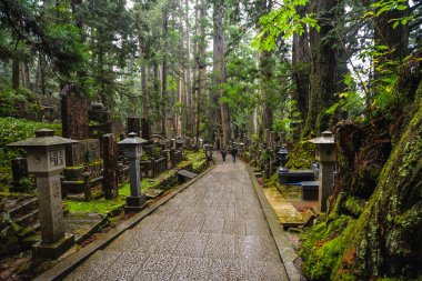 Okunoin Mezarlığı - Koya Dağı