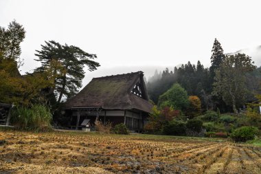 Shirakawa gider - Japonya