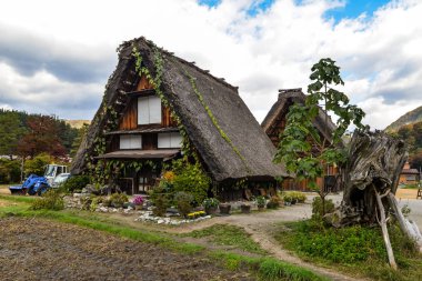 Shirakawa gider - Japonya