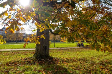 Hyde Park 'ta sonbahar renkleri