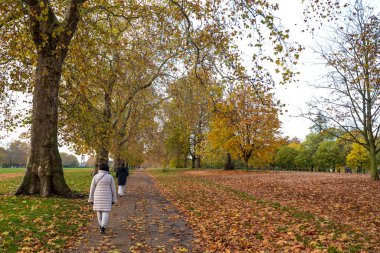 Hyde Park 'ta sonbahar renkleri