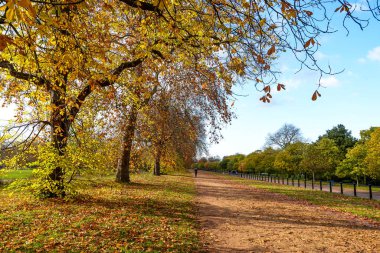 Hyde Park 'ta sonbahar renkleri