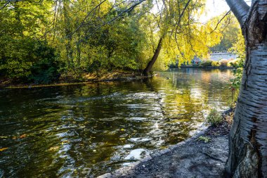 Hyde Park 'ta sonbahar renkleri