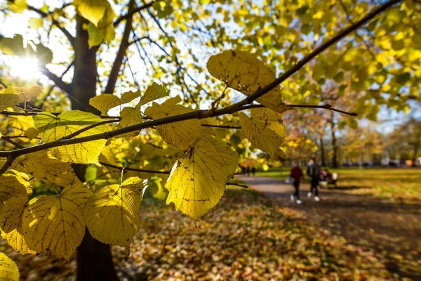 Autumn colors in Hyde Park — Stock Photo, Image