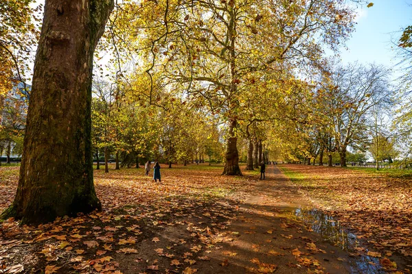 Autumn colors in Hyde Park — Stock Photo, Image