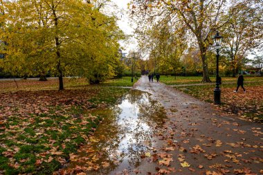 Hyde Park 'ta sonbahar renkleri