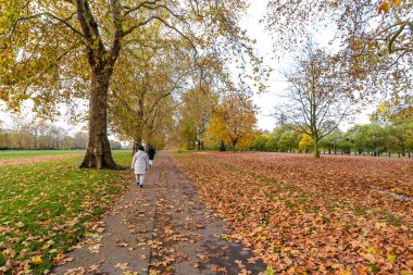 Hyde Park 'ta sonbahar renkleri