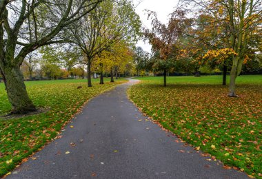 Victoria Park 'ta sonbahar renkleri - Londra