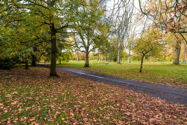 Autumn colors in Hyde Park — Stock Photo, Image