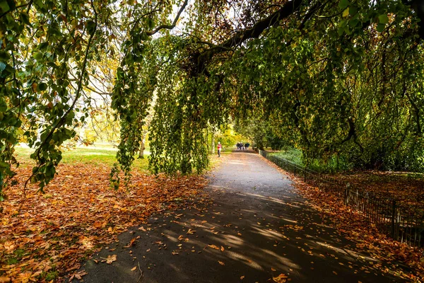 Colores otoñales en Hyde Park —  Fotos de Stock