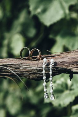 Alyanslar bulanık yeşil arkaplanlı bir sarmaşıkta duruyor..