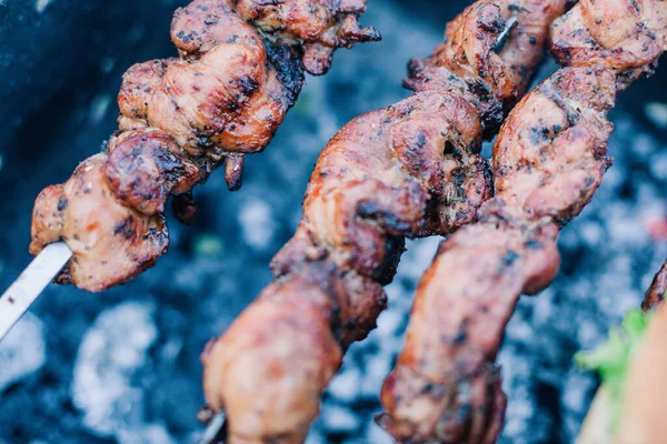 Saftiges Frisches Fleisch Zum Braten Auf Heißen Kohlen — Stockfoto