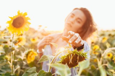 Tişörtlü genç bir kız ayçiçeklerinin içinde duruyor.