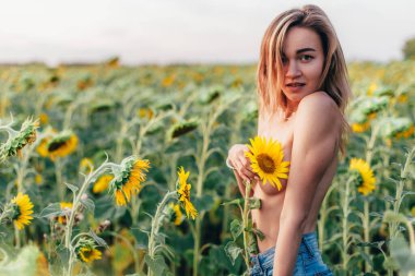 Genç üstsüz bir kız ayçiçeklerinde duruyor.