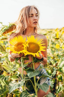 Genç üstsüz bir kız ayçiçeklerinde duruyor.