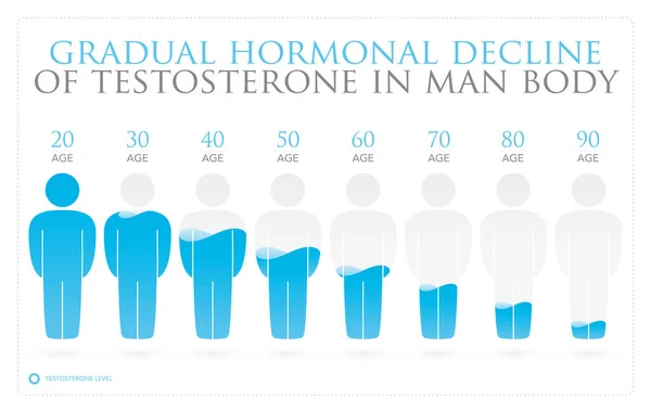 Değişen Testosteron Seviyelerinin Vektör Bilgileri. Beyaz arkaplanda izole.