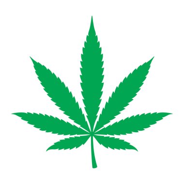 Vektör yeşil marihuana yaprağı. Beyaz arkaplanda izole.