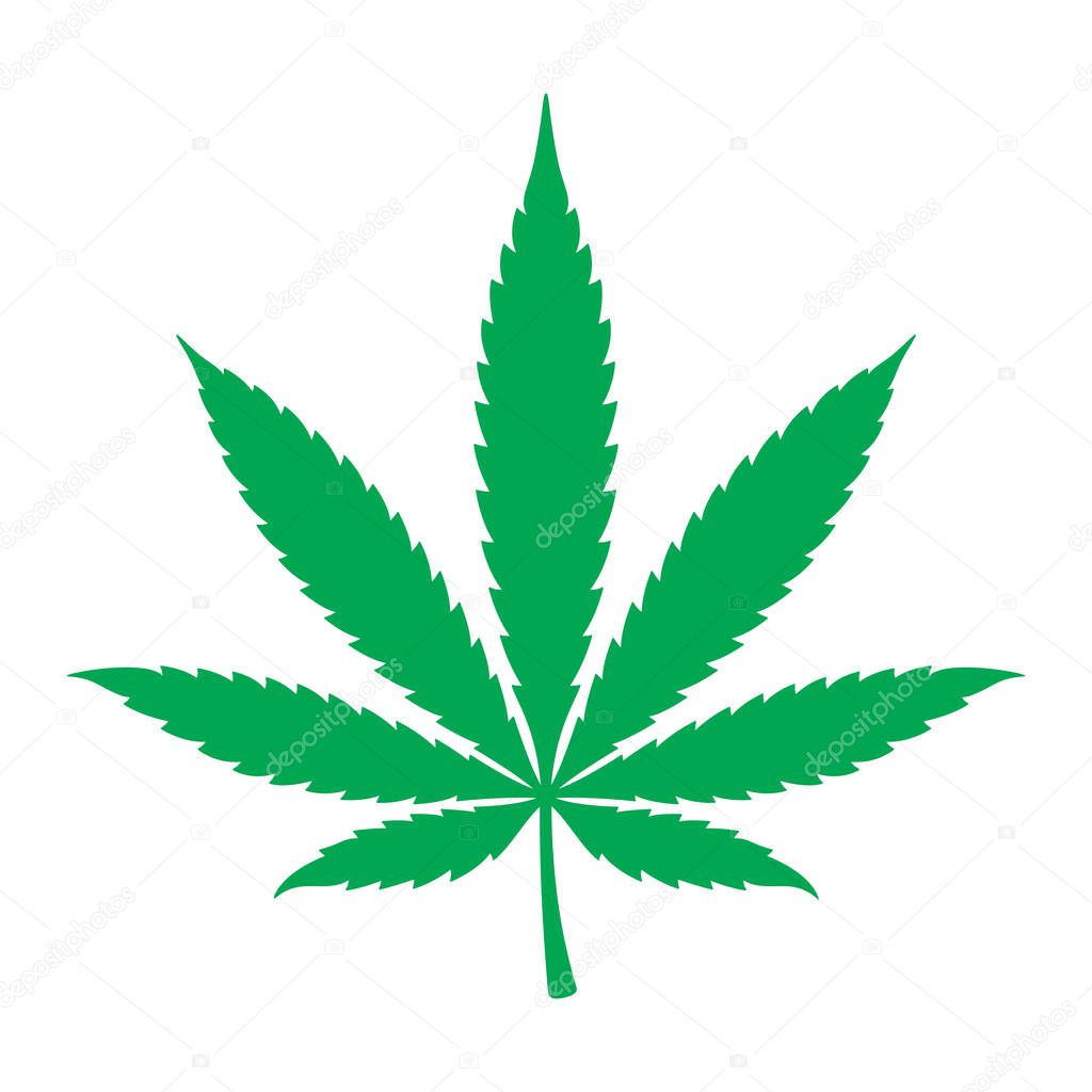 Vector green marijuana leaf. Isolated on white background.