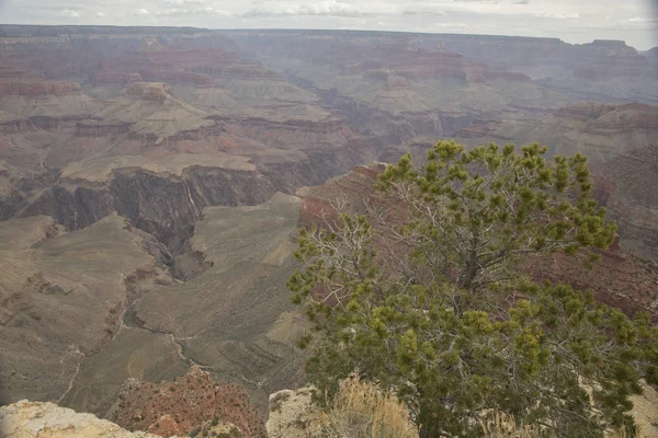 Grand Canyon Arizona Landscapes — Stock Photo, Image