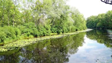 Küçük bir nehir bend.