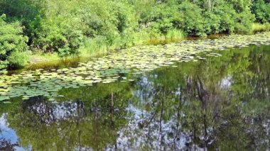 Küçük bir nehir kıyısında.