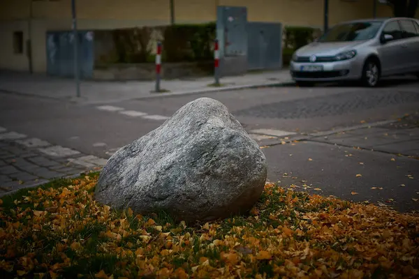 Ginkgo deixa em torno de uma pedra — Fotografia de Stock