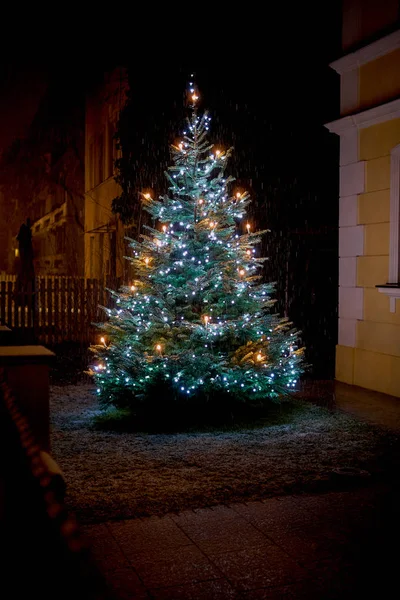 В Мюнхене снежная рождественская елка Лицензионные Стоковые Фото