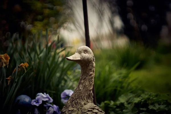 Oca di ceramica nel giardino fiorito — Foto Stock