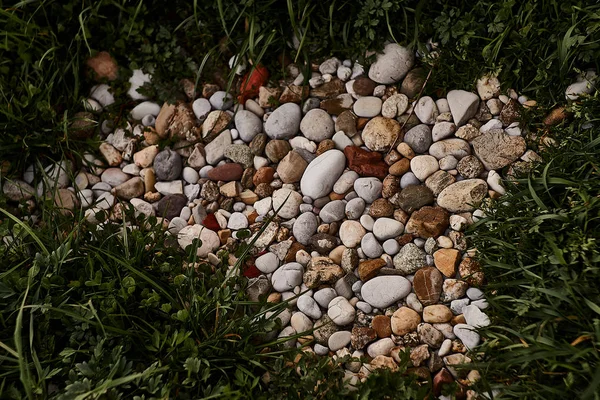 Pebbel stones in the green grass — Stock Photo, Image